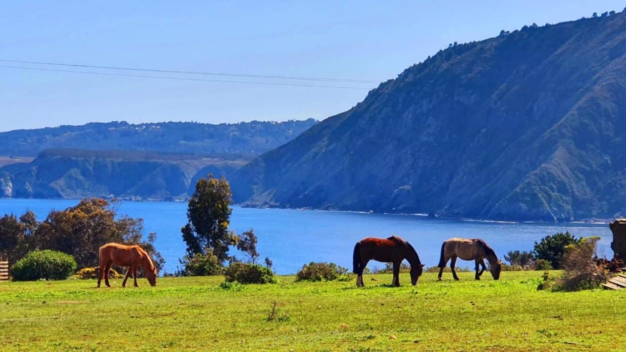 Cabana En Tunquen Con Parrilla, Fogon, Piscina Y Bosque المظهر الخارجي الصورة