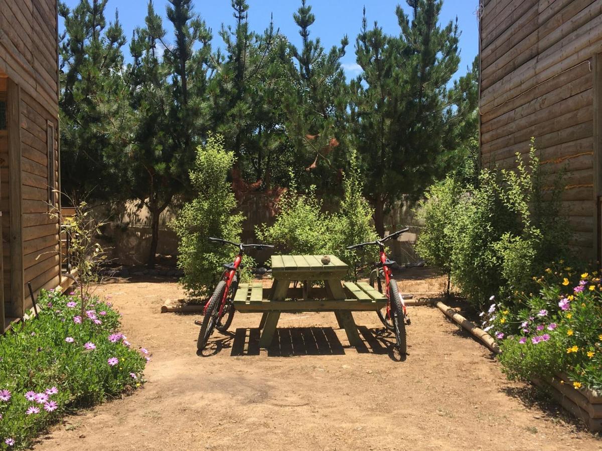 Cabana En Tunquen Con Parrilla, Fogon, Piscina Y Bosque المظهر الخارجي الصورة