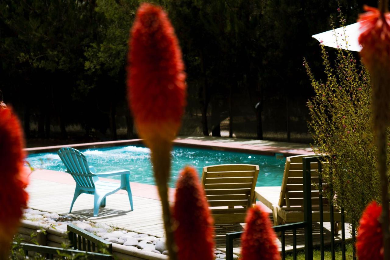 Cabana En Tunquen Con Parrilla, Fogon, Piscina Y Bosque المظهر الخارجي الصورة