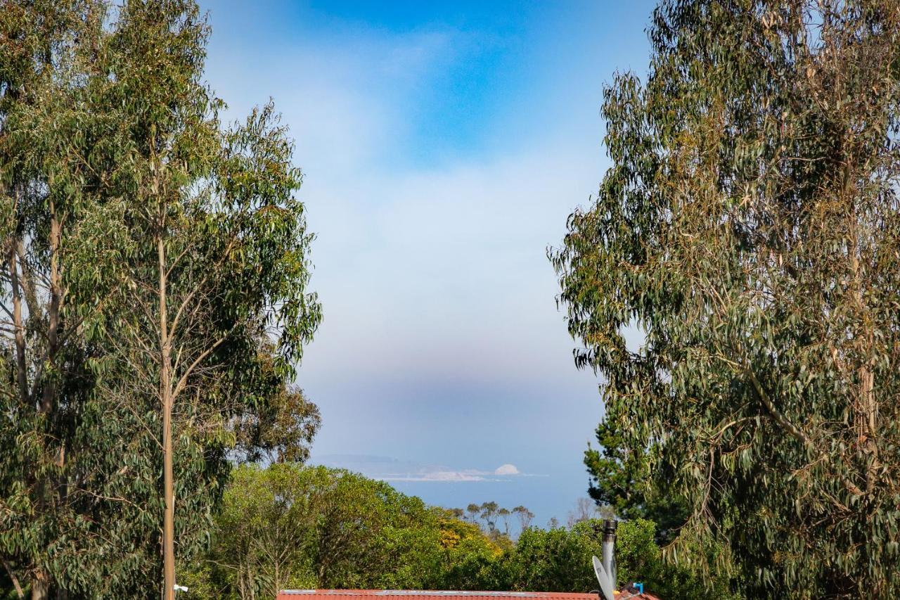 Cabana En Tunquen Con Parrilla, Fogon, Piscina Y Bosque المظهر الخارجي الصورة